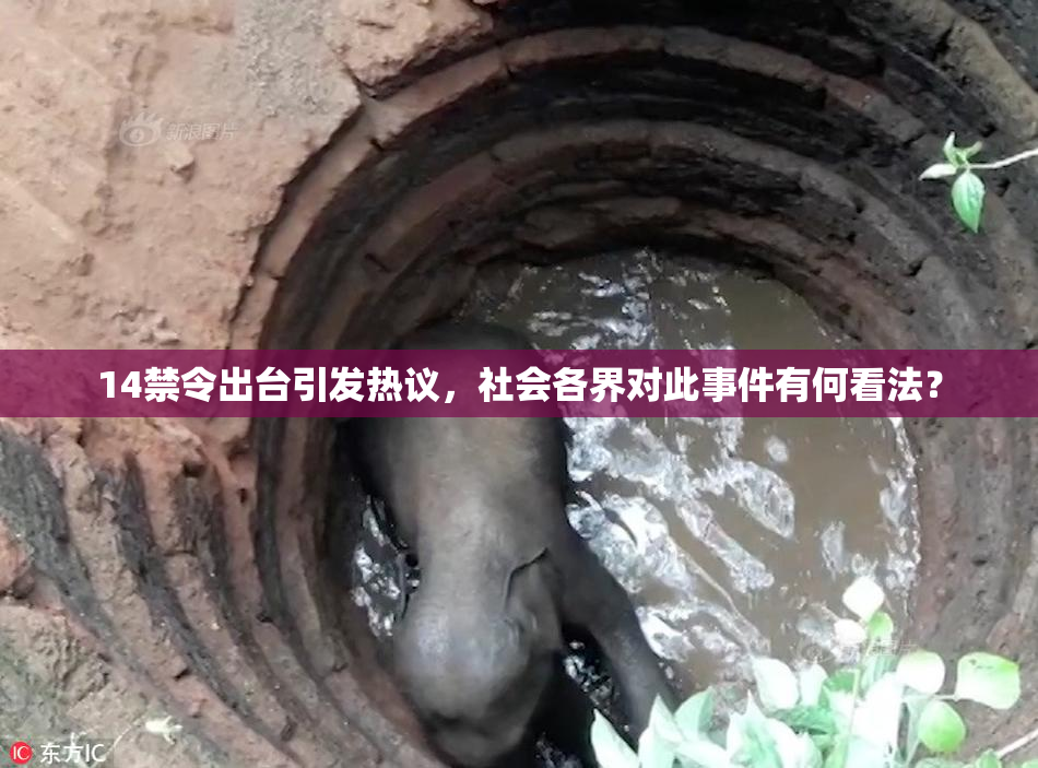 14禁令出台引发热议，社会各界对此事件有何看法？