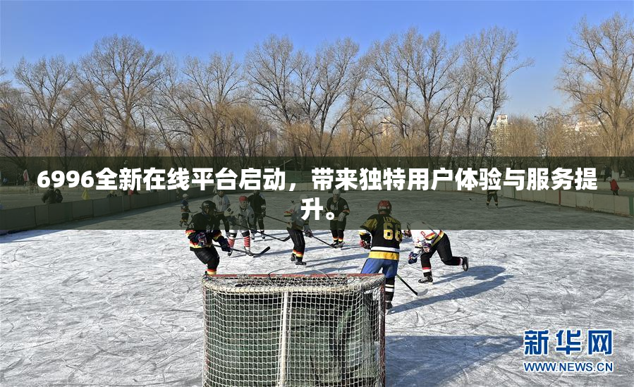 6996全新在线平台启动，带来独特用户体验与服务提升。