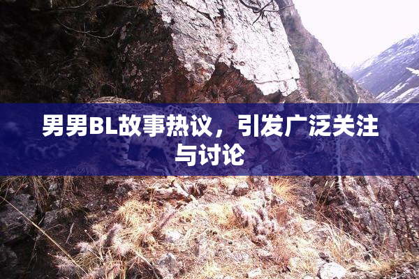 男男BL故事热议，引发广泛关注与讨论