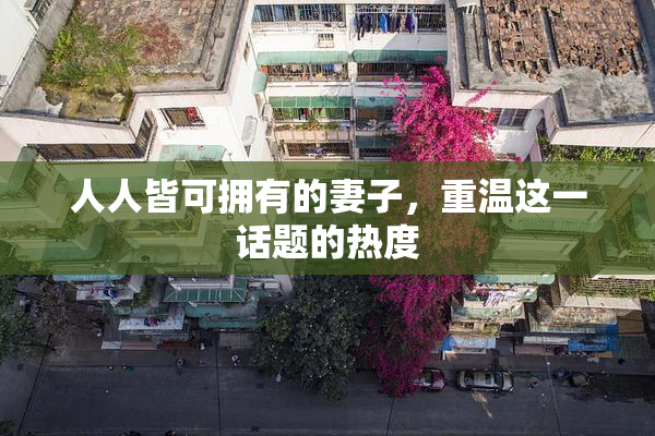 人人皆可拥有的妻子，重温这一话题的热度