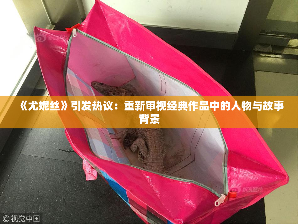 《尤妮丝》引发热议：重新审视经典作品中的人物与故事背景