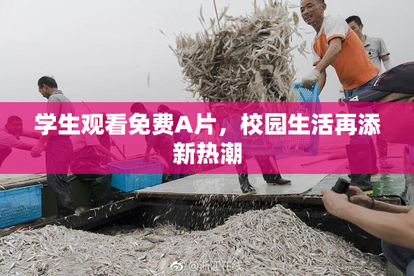学生观看免费A片，校园生活再添新热潮