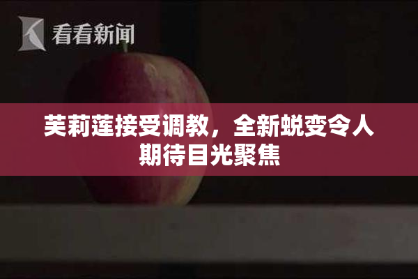 芙莉莲接受调教，全新蜕变令人期待目光聚焦