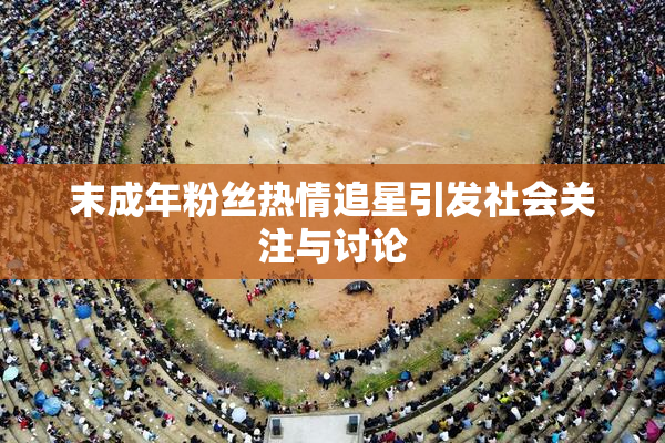 末成年粉丝热情追星引发社会关注与讨论