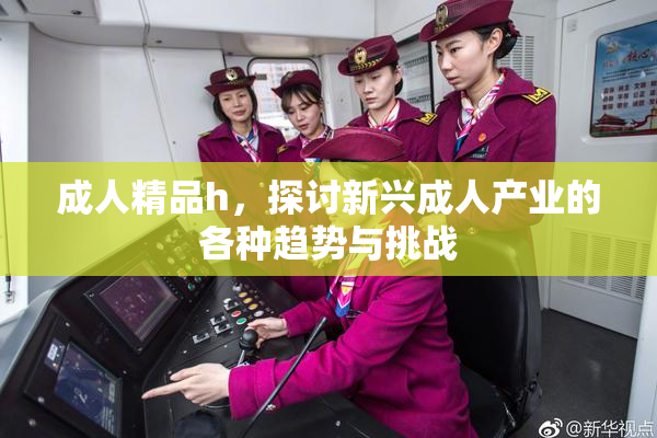 成人精品h，探讨新兴成人产业的各种趋势与挑战