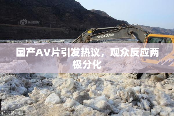 国产AV片引发热议，观众反应两极分化