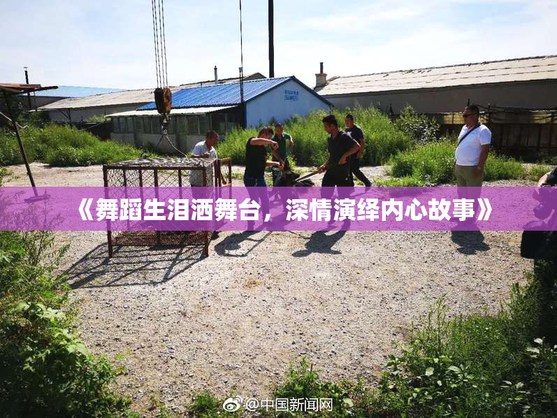 《舞蹈生泪洒舞台，深情演绎内心故事》