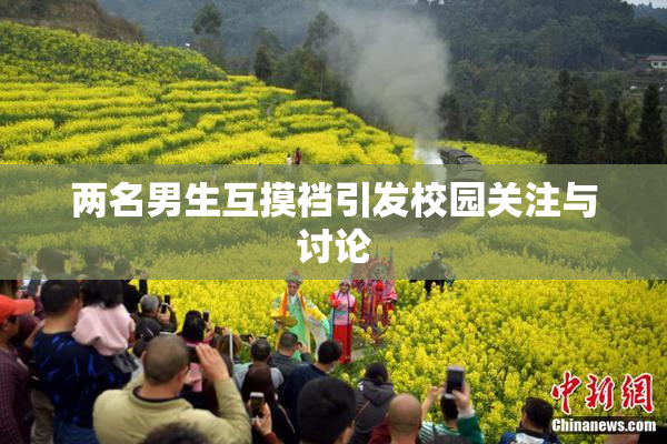两名男生互摸裆引发校园关注与讨论