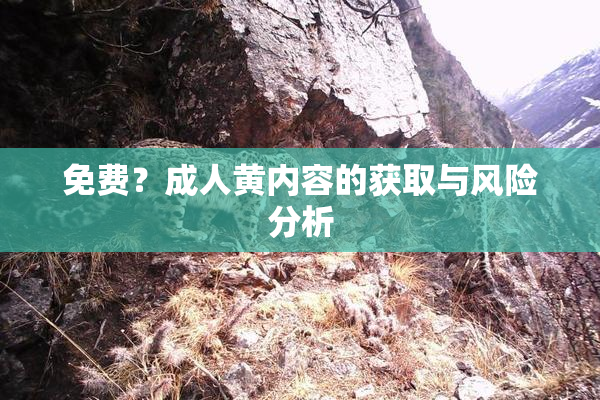 免费？成人黄内容的获取与风险分析