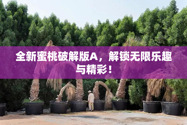 全新蜜桃破解版A，解锁无限乐趣与精彩！