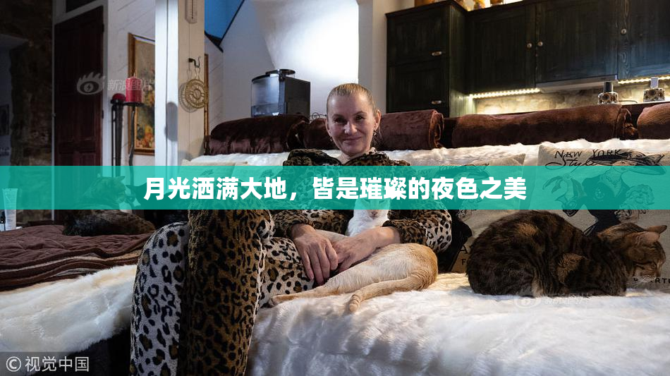 月光洒满大地，皆是璀璨的夜色之美