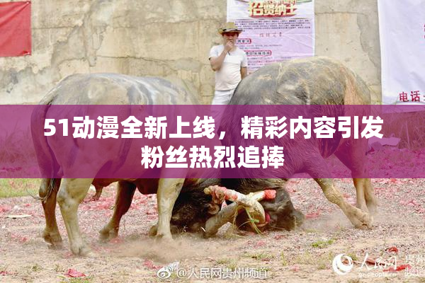 51动漫全新上线，精彩内容引发粉丝热烈追捧