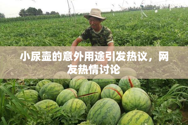 小尿壶的意外用途引发热议，网友热情讨论