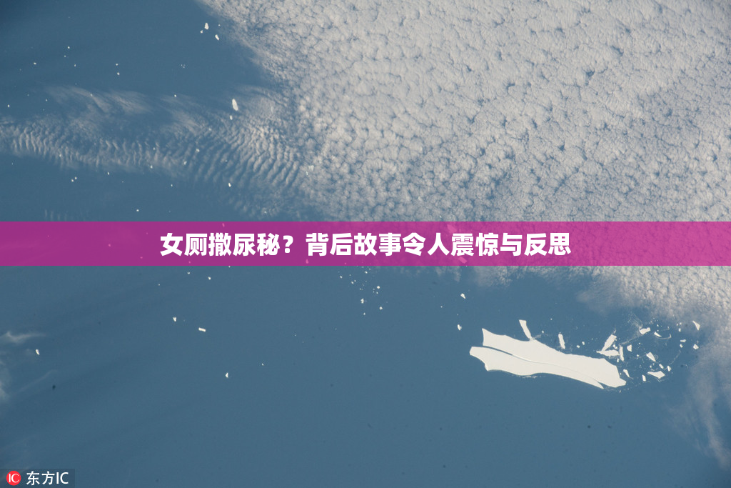 女厕撒尿秘？背后故事令人震惊与反思