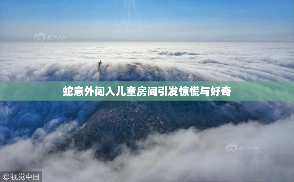 蛇意外闯入儿童房间引发惊慌与好奇