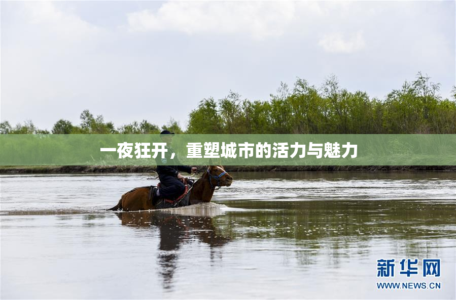 一夜狂开，重塑城市的活力与魅力