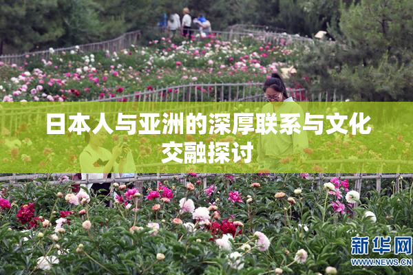 日本人与亚洲的深厚联系与文化交融探讨