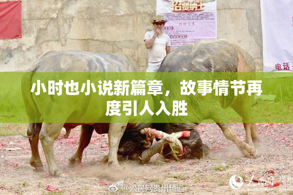 小时也小说新篇章，故事情节再度引人入胜