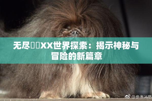 无尽❌‌XX世界探索：揭示神秘与冒险的新篇章