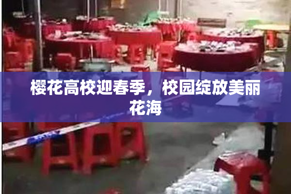 樱花高校迎春季，校园绽放美丽花海