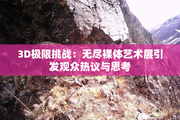 3D极限挑战：无尽裸体艺术展引发观众热议与思考