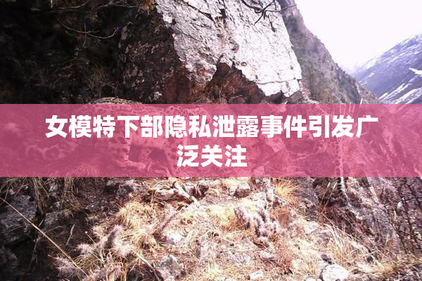 女模特下部隐私泄露事件引发广泛关注