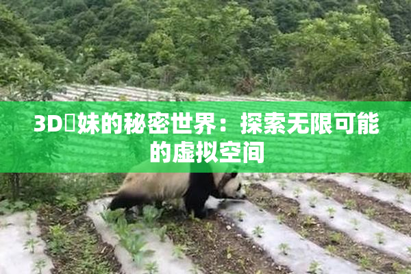 3D姉妹的秘密世界：探索无限可能的虚拟空间
