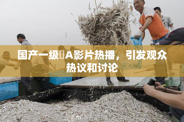 国产一级婬A影片热播，引发观众热议和讨论