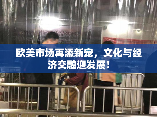 欧美市场再添新宠，文化与经济交融迎发展！
