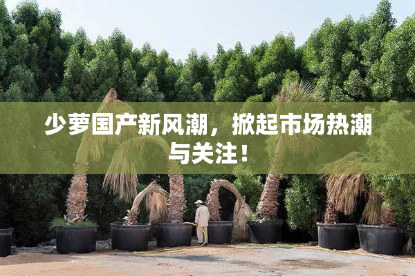 少萝国产新风潮，掀起市场热潮与关注！