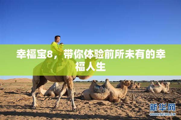 幸福宝8，带你体验前所未有的幸福人生