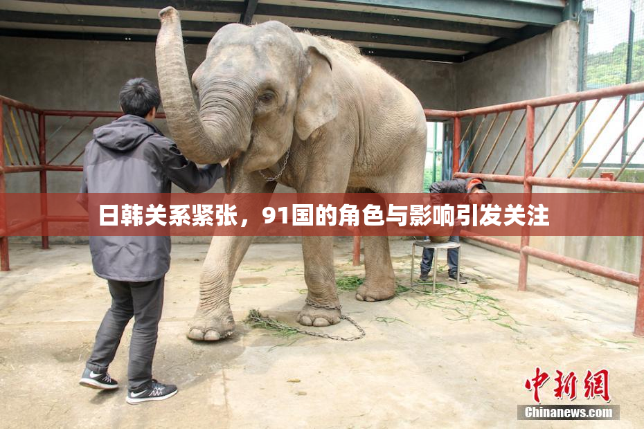 日韩关系紧张，91国的角色与影响引发关注