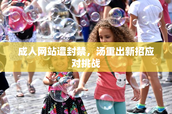 成人网站遭封禁，汤重出新招应对挑战