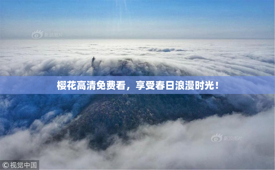 樱花高清免费看，享受春日浪漫时光！