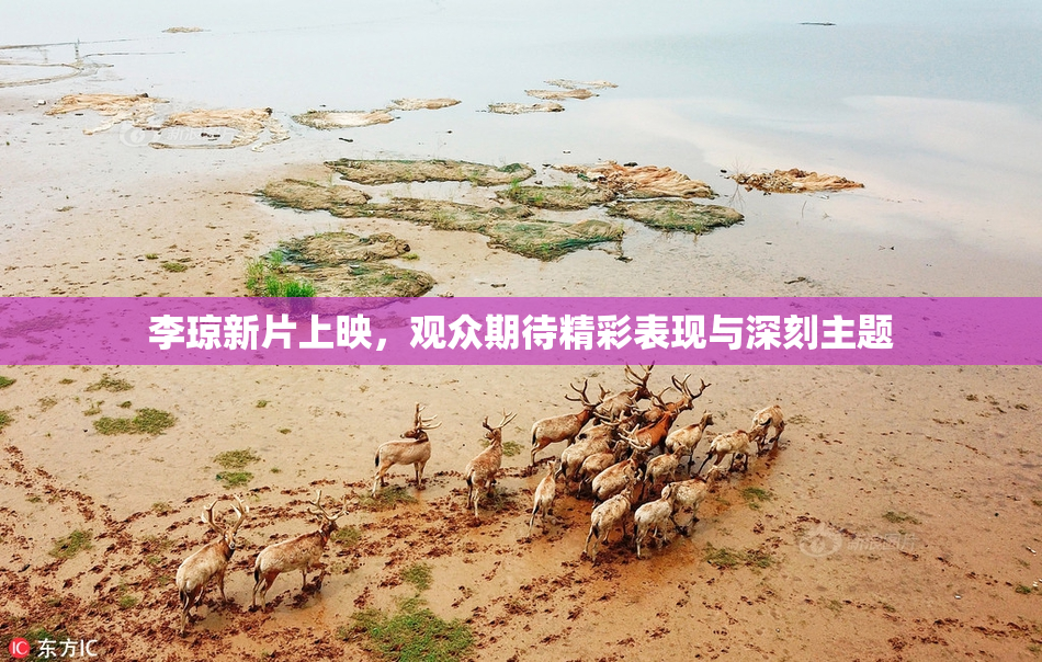 李琼新片上映，观众期待精彩表现与深刻主题