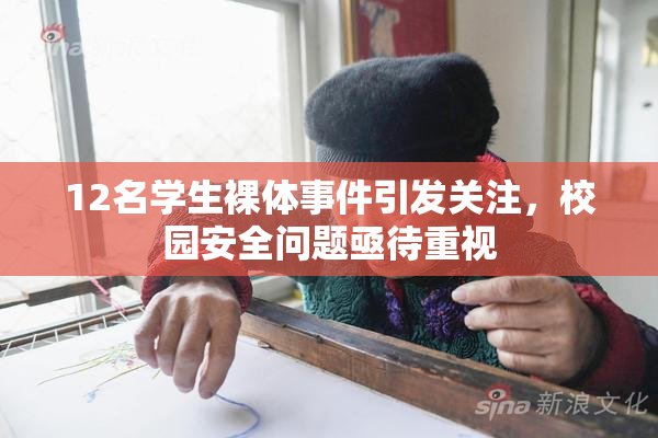 12名学生裸体事件引发关注，校园安全问题亟待重视