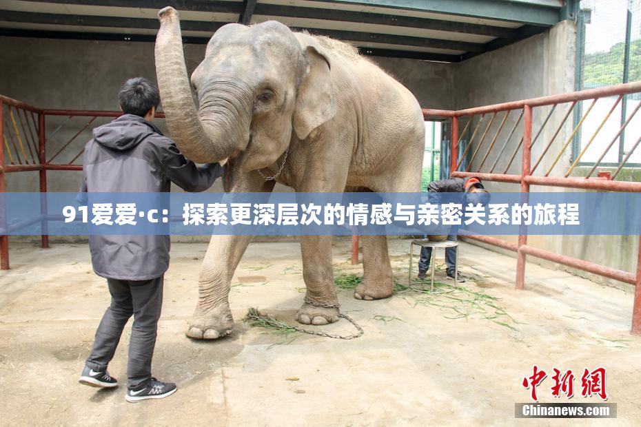 91爱爱·c：探索更深层次的情感与亲密关系的旅程