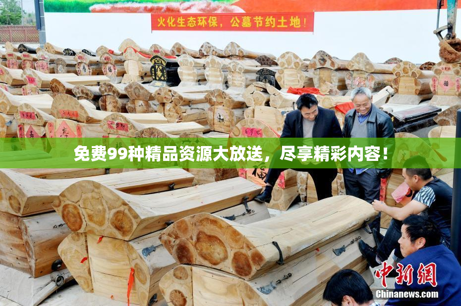 免费99种精品资源大放送，尽享精彩内容！