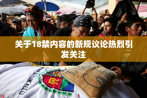 关于18禁内容的新规议论热烈引发关注