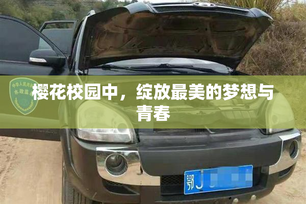 樱花校园中，绽放最美的梦想与青春