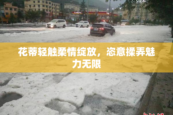 花蒂轻触柔情绽放，恣意揉弄魅力无限