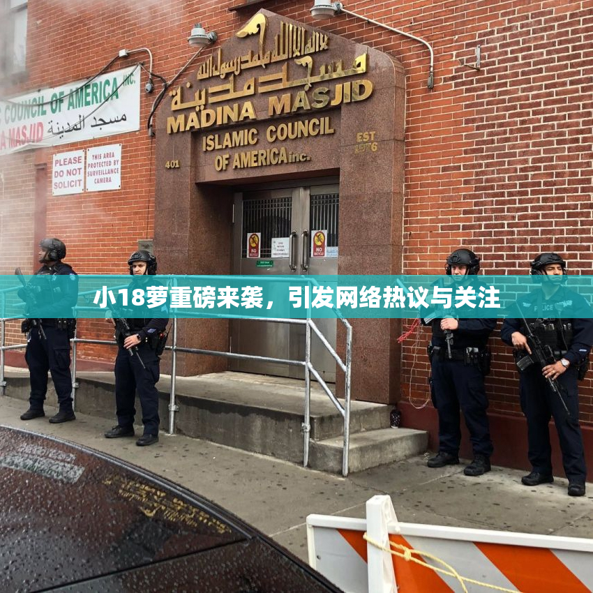 小18萝重磅来袭，引发网络热议与关注