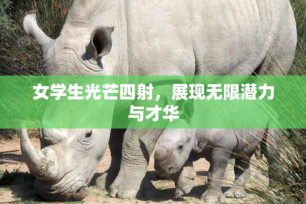 女学生光芒四射，展现无限潜力与才华