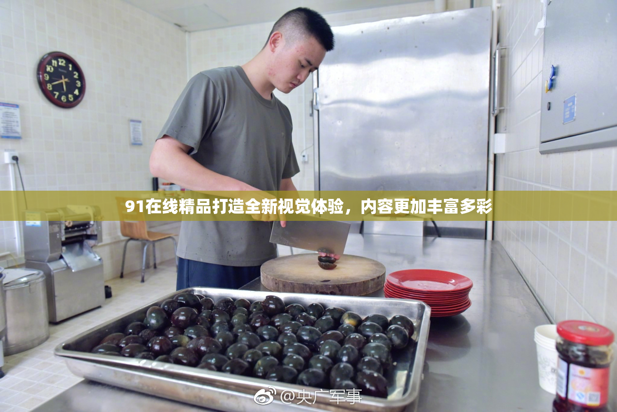 91在线精品打造全新视觉体验，内容更加丰富多彩