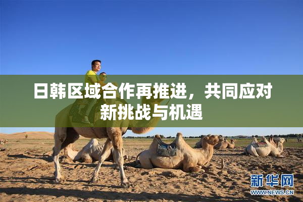 日韩区域合作再推进，共同应对新挑战与机遇