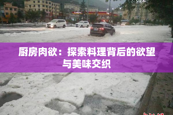 厨房肉欲：探索料理背后的欲望与美味交织