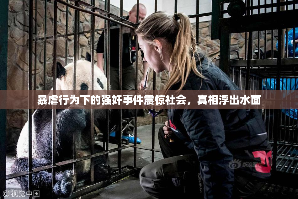 暴虐行为下的强奸事件震惊社会，真相浮出水面