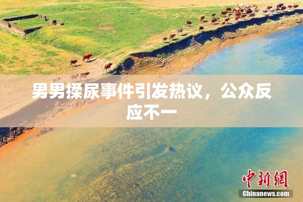 男男揉尿事件引发热议，公众反应不一