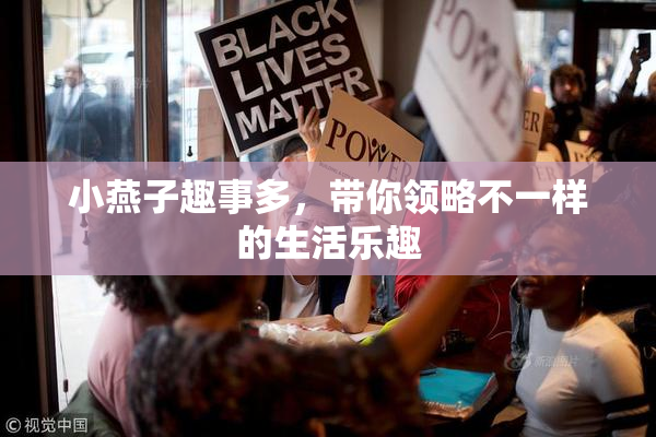 小燕子趣事多，带你领略不一样的生活乐趣