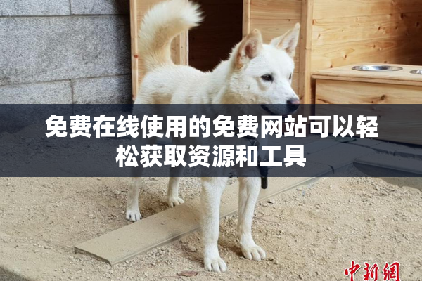 免费在线使用的免费网站可以轻松获取资源和工具